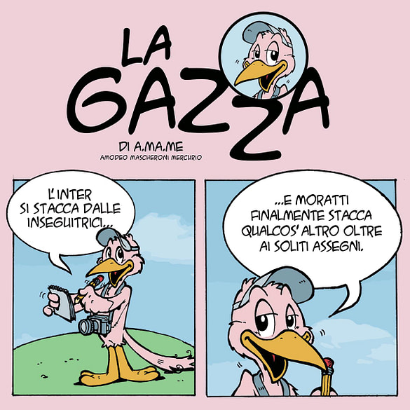 Strisce a fumetti “La Gazza”